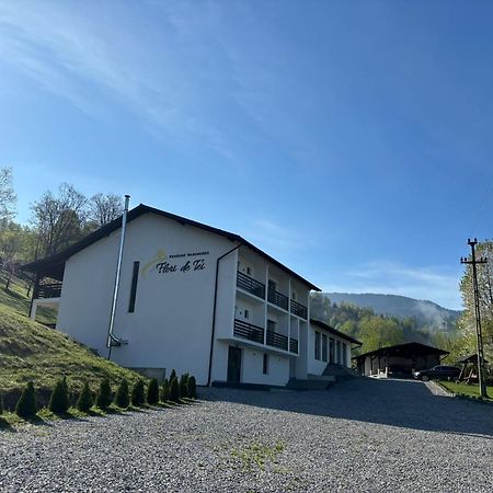 Săcel Flori De Tei Maramures מראה חיצוני תמונה